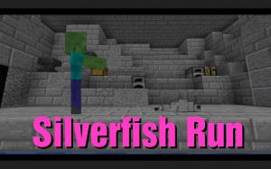 Tải về Silverfish Run cho Minecraft 1.13.1