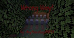 Tải về Wrong Way 1.0 cho Minecraft 1.18.2