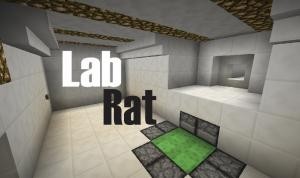 Tải về Lab Rat cho Minecraft 1.12