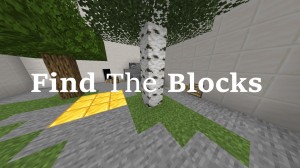 Tải về Find The Blocks cho Minecraft 1.14.4