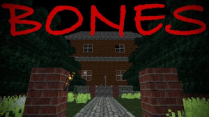 Tải về Bones cho Minecraft 1.20.6