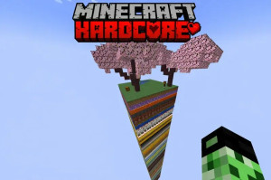 Tải về Hardcore: 1 Chunk – 100 Floors – Custom Economy cho Minecraft 1.20