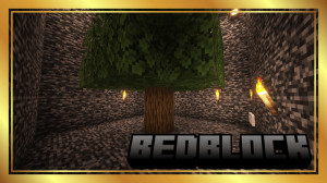 Tải về BedBlock cho Minecraft 1.21.5